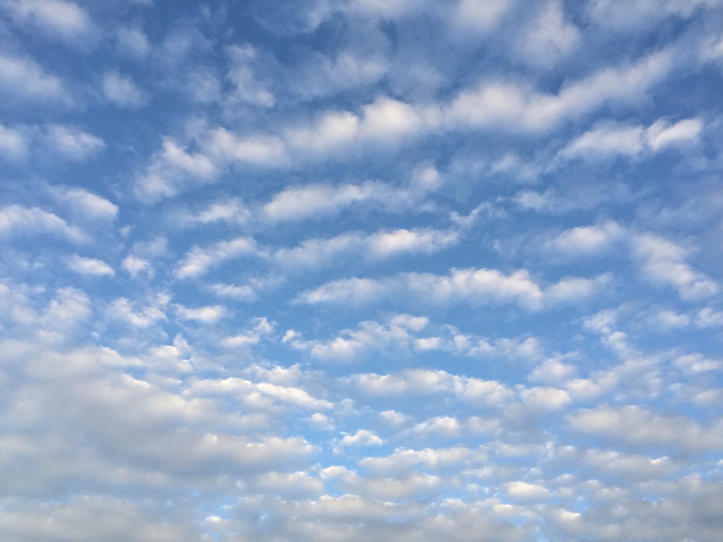 茂串港(牛深町)夕日